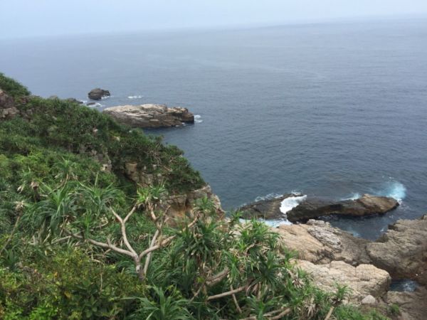 瓏美麗一週ㄧ步道（鼻頭角，和平島公園）396056