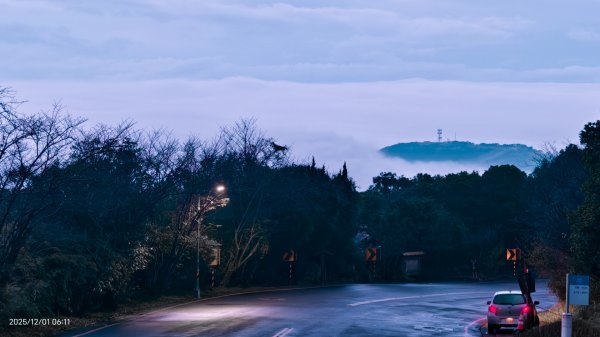 #陽明山 趴趴走12/12950329