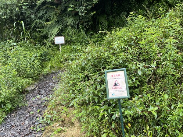 [玉山尋寶任務-01/12] 2025_0726 庫哈諾辛山登山步道2847374