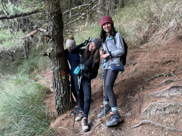 2021-03-28屏風山單攻，111.2K最新登山口去與回1337706