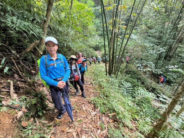 阿里眉山+大舌滿山（路跡不明/未竟 ）2864614