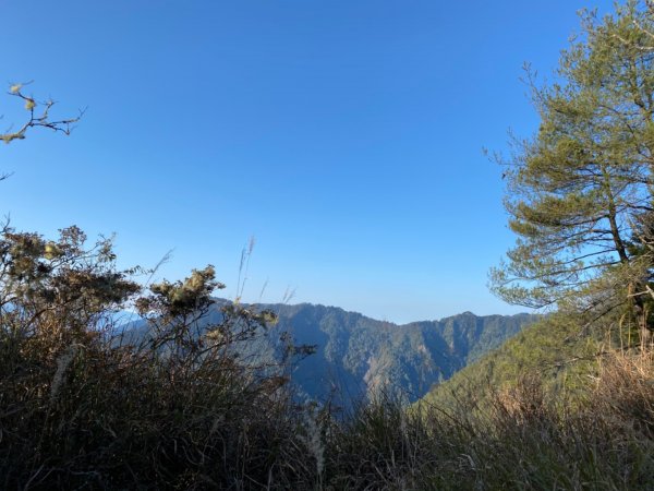 一日單攻白姑大山821483