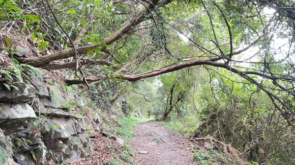 礁溪跑馬古道2848462