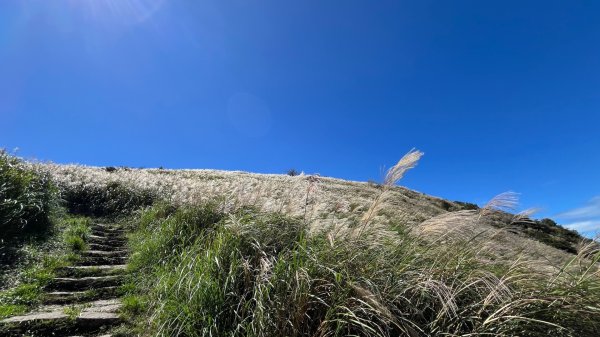 淡水興福寮古道2923338