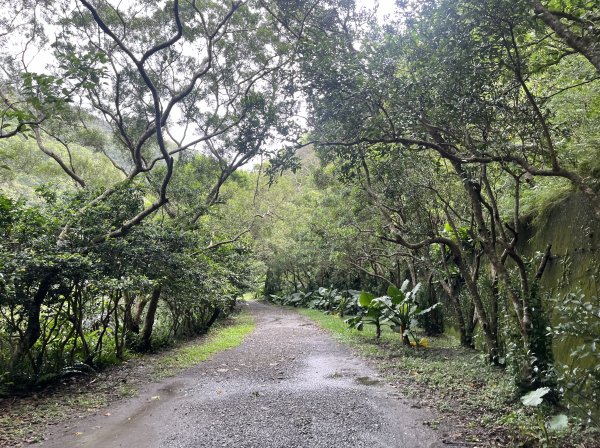 [屏步青雲 尋寶任務-03/10] 2024_0917 雙流國家森林遊樂區（瀑布步道）2597714