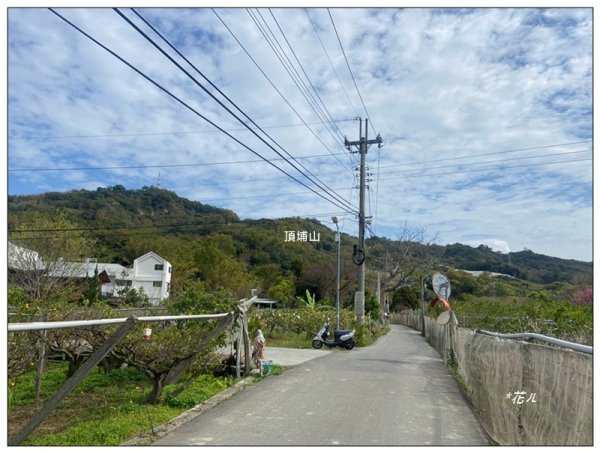 頂埔山 新路線 ( 東勢 )3039562