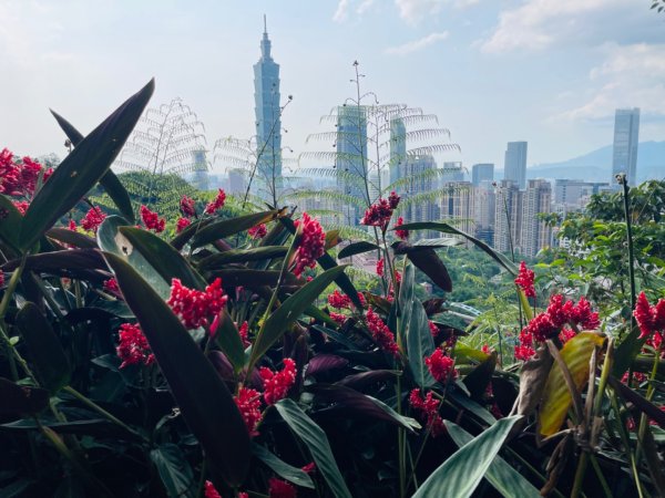 1140513象山峰-永春崗平台O繞2785606