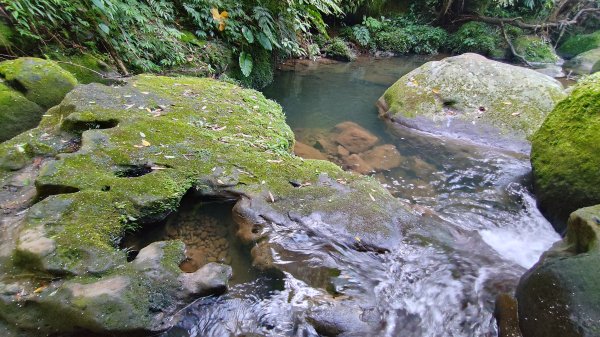 柴寮古道、中坑古道2814663