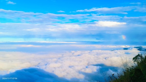 阿里山 #隙頂二延平 #頂石棹 #觀音圈 #雲海 #琉璃光 #雲瀑 #霧虹 11/172649757