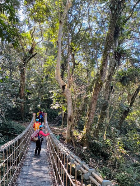 雪山坑登山步道尋巨人2978245