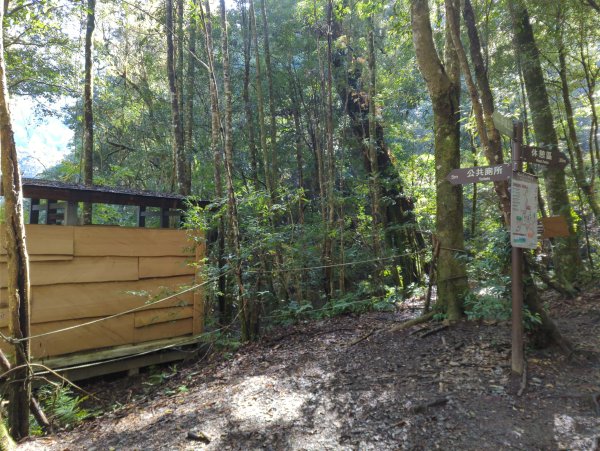 2026.01.03－鎮西堡B區神木群2981133