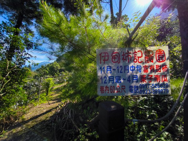 2024-08-24 雙崎埋伏坪步道2579189