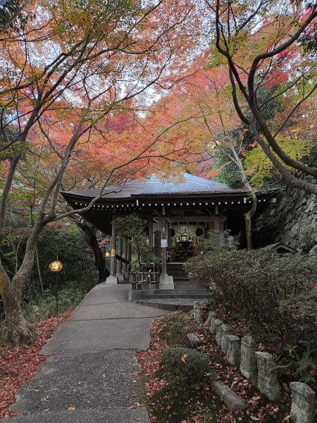 【日本健行】岡山、彥根 (近江八幡、彥根城)、姬路(書寫山圓教寺、世界遺產姬路城、好古園)2946488