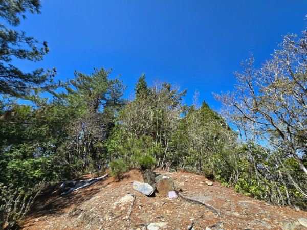 卓社大山〔武界栗栖溪登山口起登〕2748497