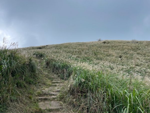 二子坪—面天山—向天山—清天宮2331913