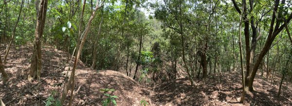 20250503屏東南和山2781479