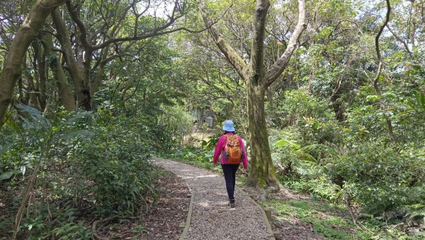 (姨婆趴趴走)第五十集:新北樹林大同山、青龍嶺、大棟山諸峰連走2751623