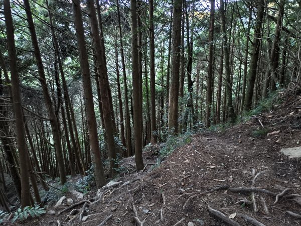 北一段(01/14)勝光山 2025_0906~132885048