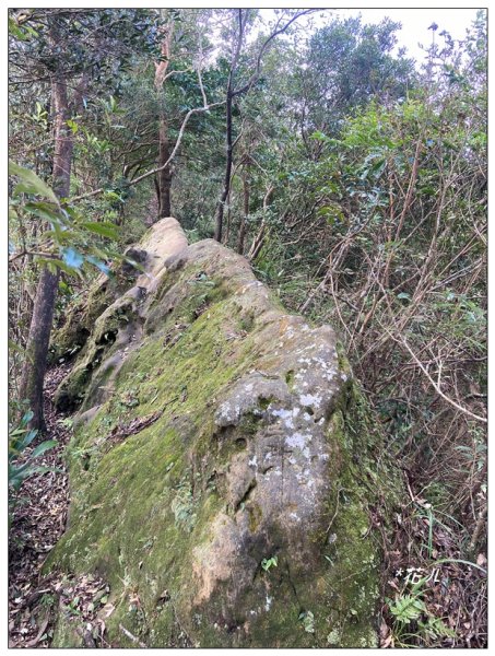 皇帝殿石壩尖、東峰、西峰連走(北峰登山口)2675650