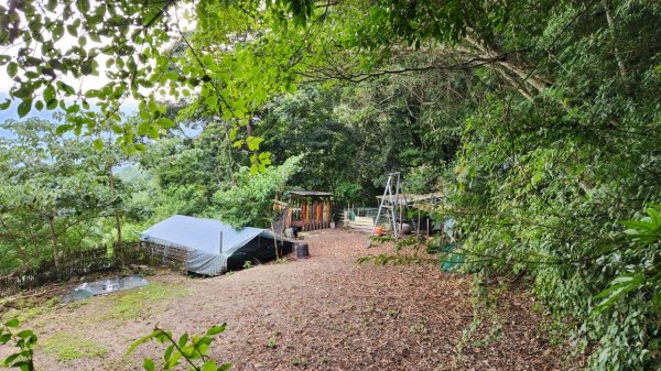 【中級山】隱藏在尖石的神秘古堡，昔日兵家必爭之地，新竹李棟山2744565