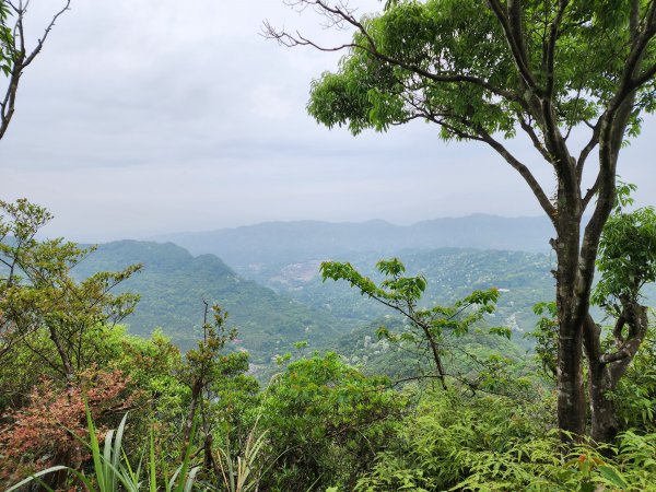 20230423鹿母潭山、獅仔頭山、大丘田山、粽串尖山2239630