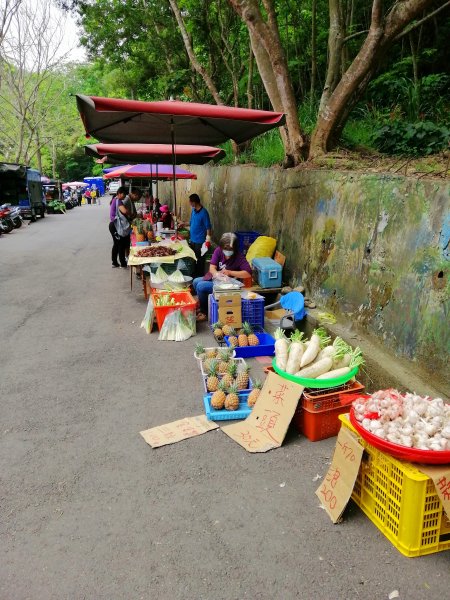 【彰化。員林】健身休閒人氣步道。藤山步道955365