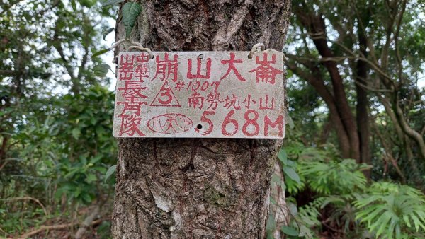 石碇 O 型縱走大崙古道・崩山大崙・華梵大學・熱腸古道・磨石坑山2803281