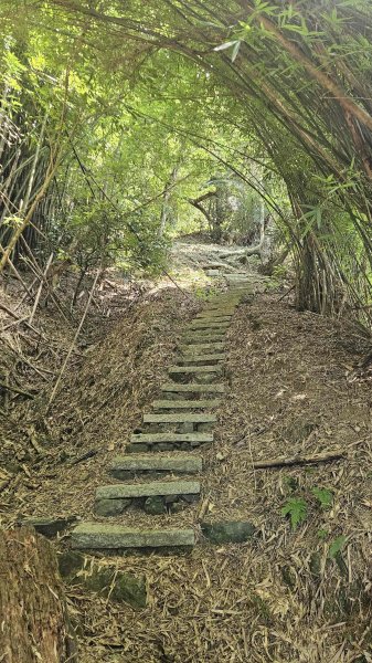 20250703象寮古道-梗枋古道2828898