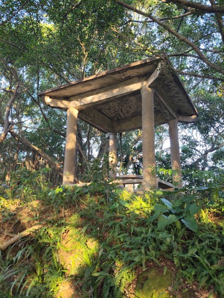 微笑山線：【大棟山系】405高地段2942540