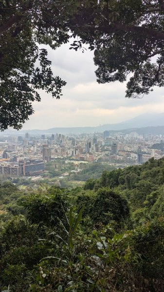 劍潭山親山步道2676455