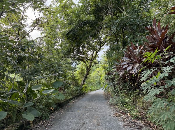 2025_1018 花蓮縣鳳林鎮鳳凰瀑布2921364