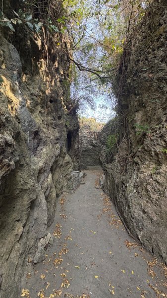 尋仙、鑽洞、啖肥雞3002765