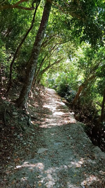 知本國家森林遊樂區步道1775707