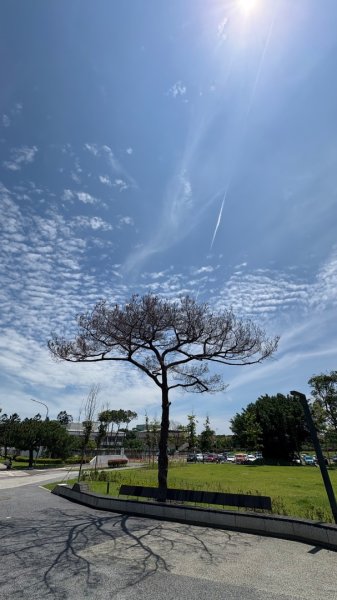 綠衫林公園2800888