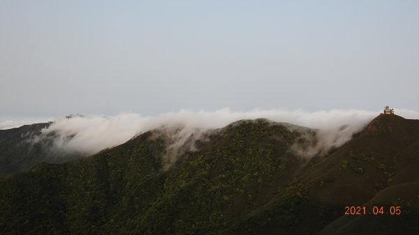 0405陽明山再見雲瀑，今年以來最滿意的一次1335452