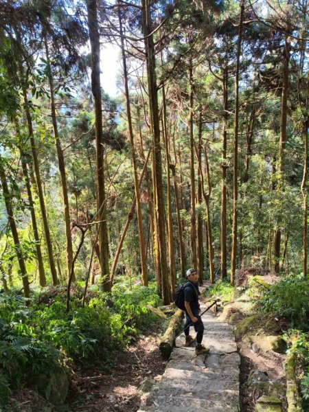 20251218溪頭鳳凰山台寅山上天文台至妖怪村買菜O繞2965598