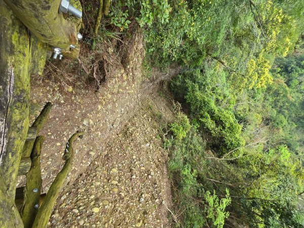 台中大坑4號登山步道2751110