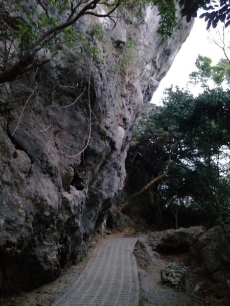 社頂生態保護區1343655