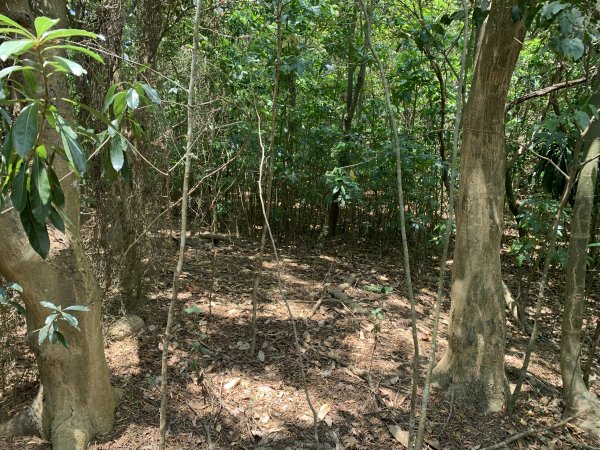 20250503屏東南和山2781486