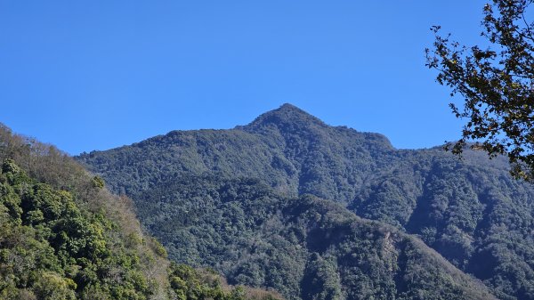 橫龍山 橫龍山北峰 騰龍山 龍年爬龍山2423205