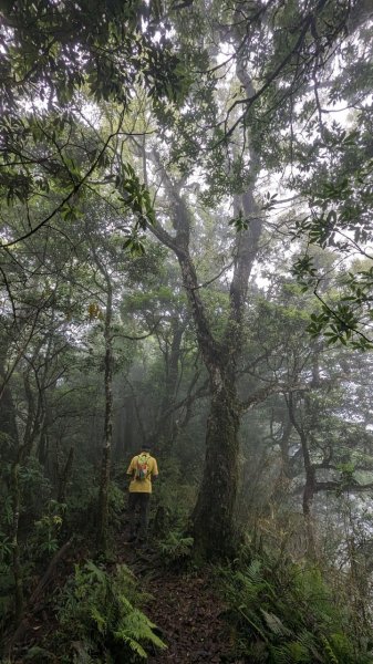 113.06.01魯壁山-東穗山之旅2529870