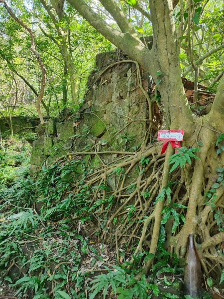 萬中瀑布-瑪鍊山-大路嶺古道-村長古厝-金剛岩-獅頭瀑布3005085