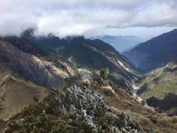 八通關山、八通關山西峰、秀姑巒山526164