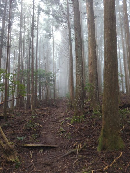 2025.07.05－高島縱走2828188