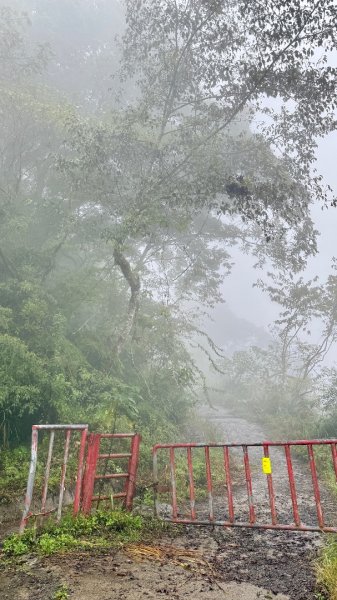 穿羅紗的「加羅湖」2943914