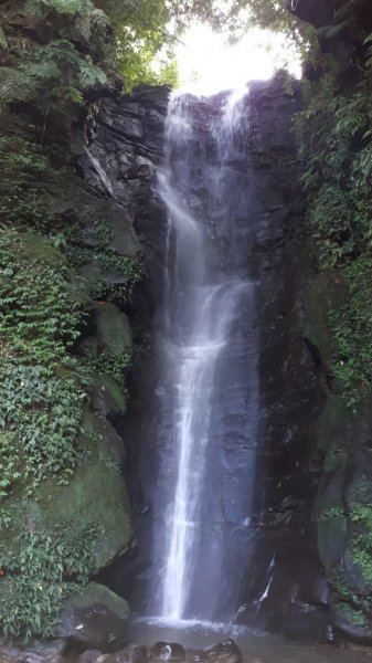 姜子寮-泰安瀑布封面