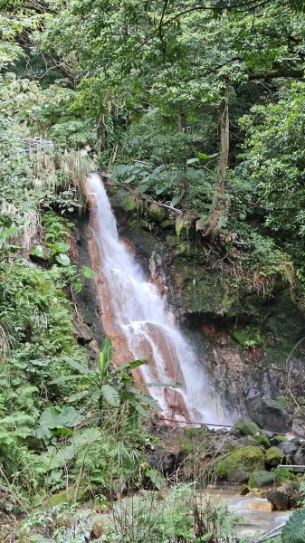 20251127菁苗步道-紅樓秘境-環七星步道O型2947318