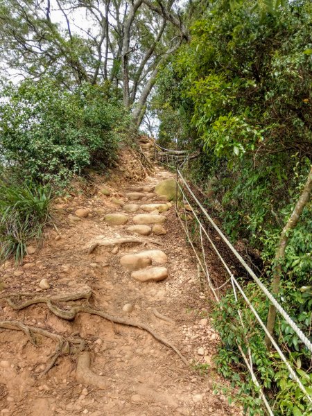 《百大必訪步道》火炎山(小百岳#35)、三義3D彩繪階梯 (2020/9/19)1430680