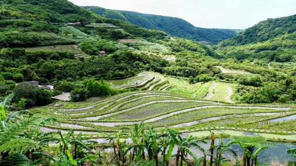 北海岸。良率2783360
