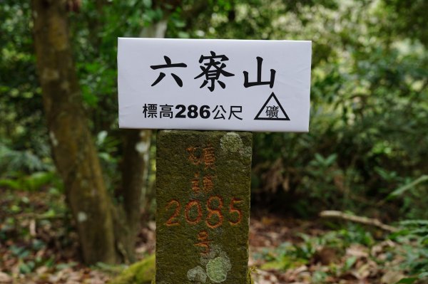 新竹 峨嵋 獅頭山、獅尾山、六寮山、猿山2450099